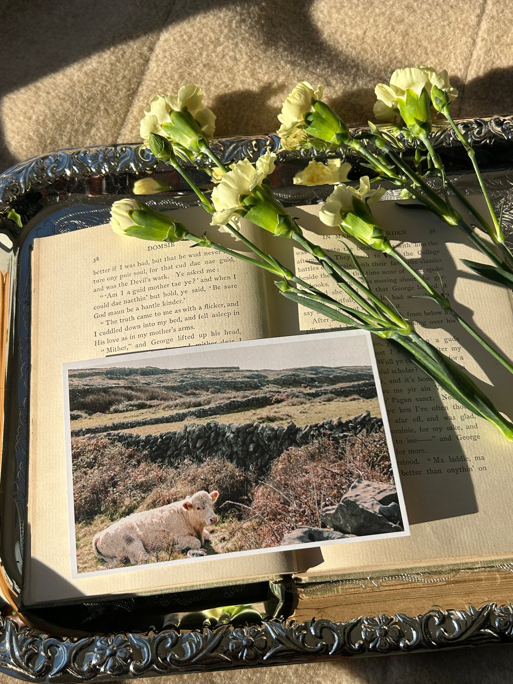 Goldie Mail- Print Club Subscription