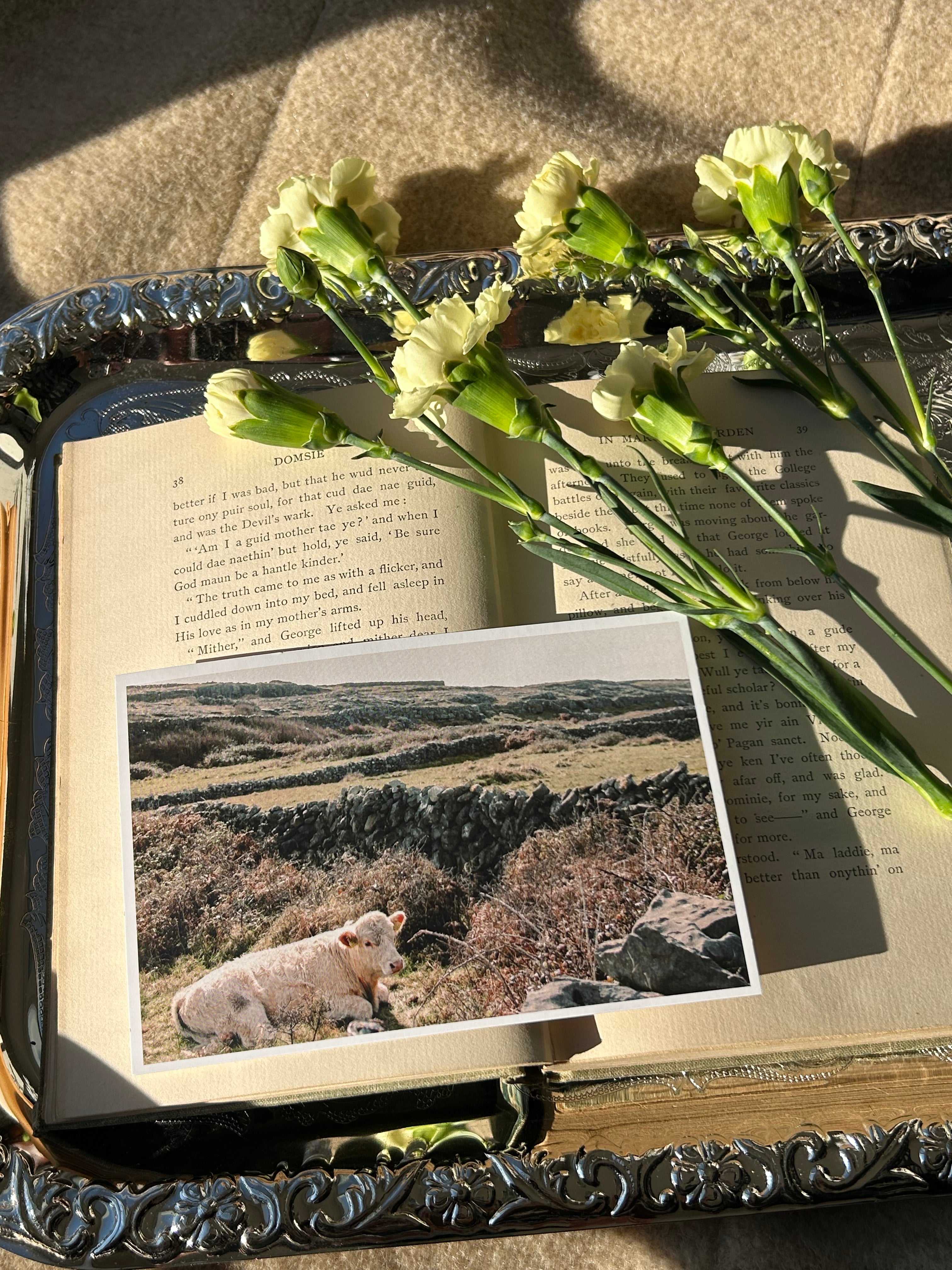 Goldie Mail- Print Club Subscription